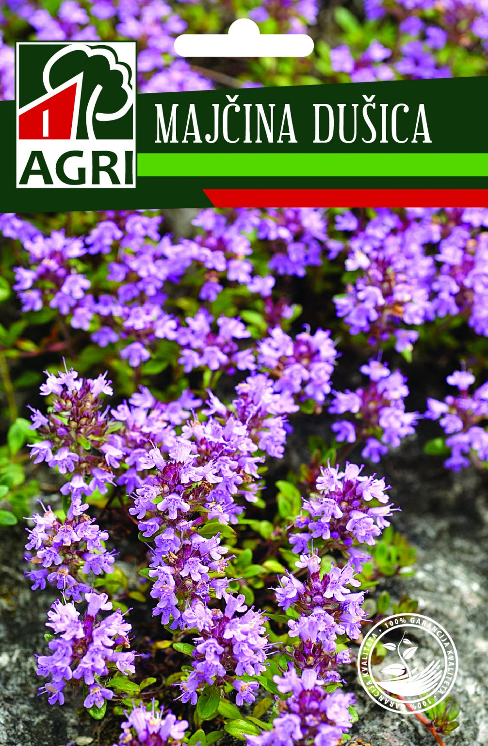 MAJČINA DUŠICA – Agri vrt